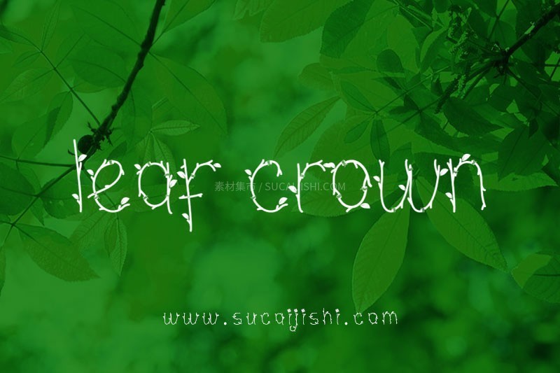 Leaf Crown ҶͼӢ